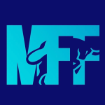 Quỹ MFF